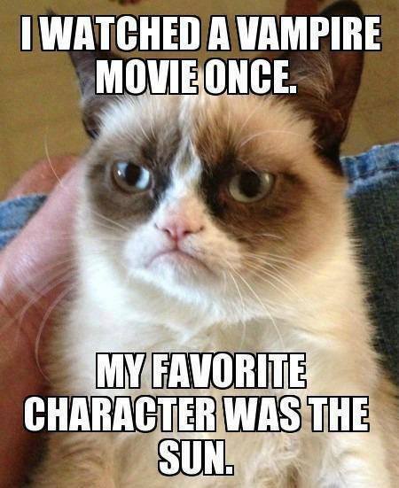 Grumpy Cat Watched Vampire Movie Once... - Funny pictures