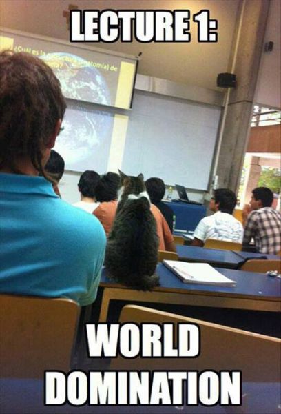 Lecture 1 - Funny pictures