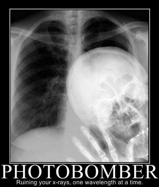 Photobomber - Funny pictures