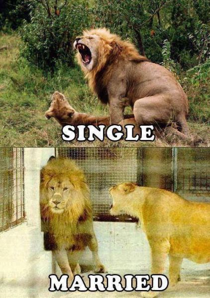 Single vs. Married - Funny pictures