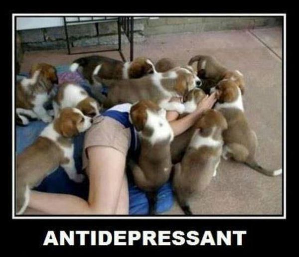 Antidepressant