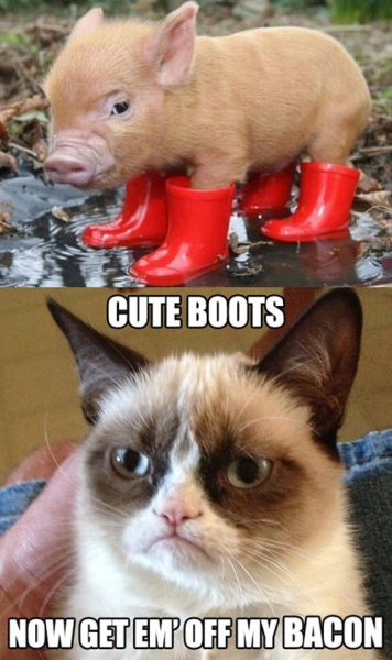Bacon In Boots - Funny pictures