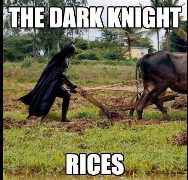 The Dark Knight - Rices - Funny pictures