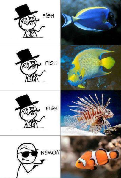 Fish Identification - Funny pictures
