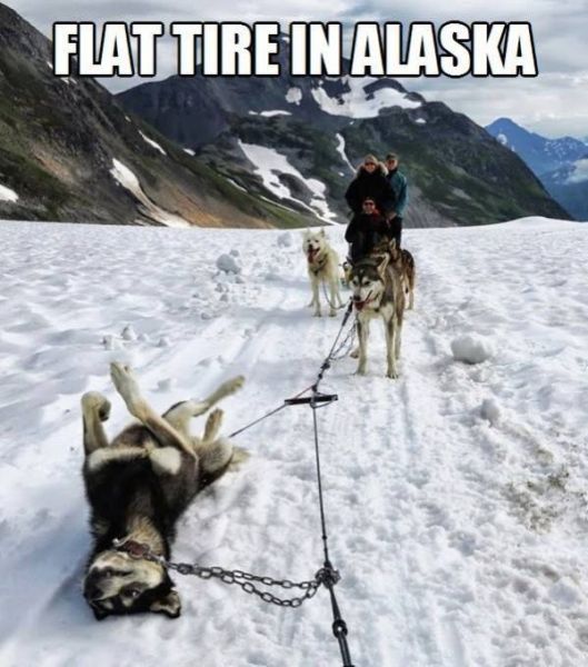 Flat Tire In Alaska - Funny pictures