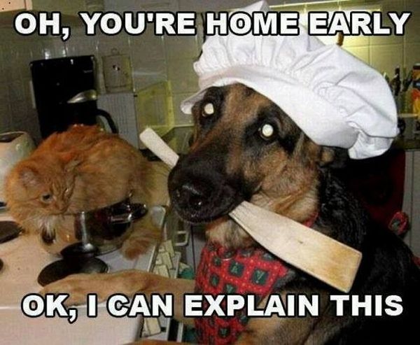 Meanwhile In The Kitchen