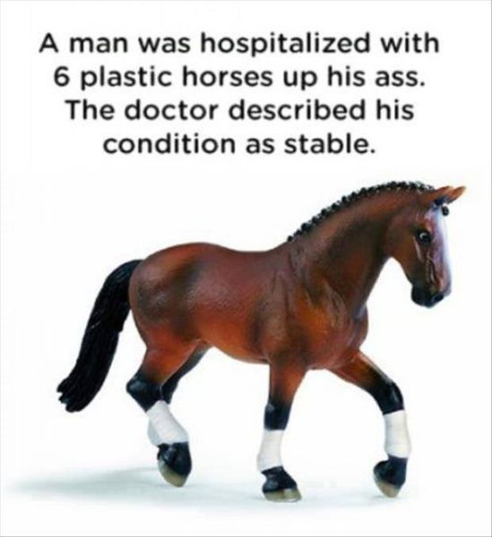 Stable Condition - Funny pictures