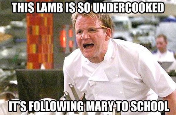 This Lamb Is So Undercooked - Funny pictures