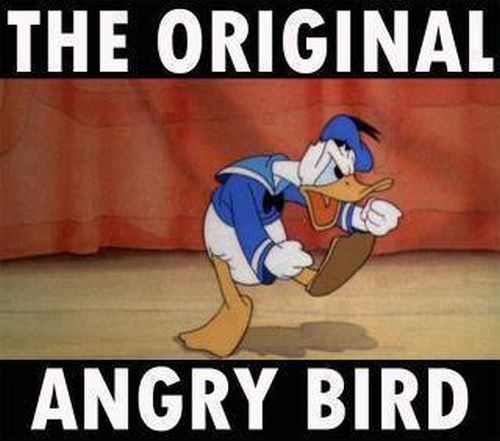 The Original Angry Bird - Funny pictures