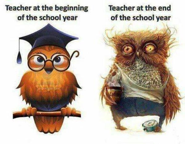 Teachers Will Understand - Funny pictures