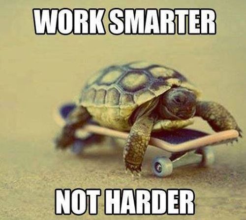 Work Smarter - Funny pictures