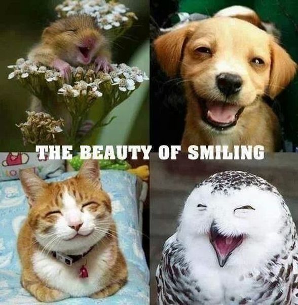 The Beauty Of Smiling - Funny pictures