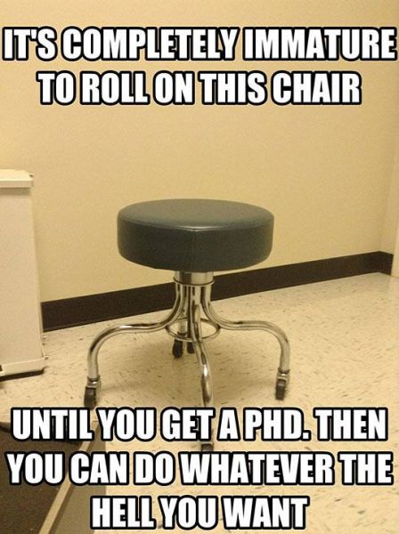 Rolling Chair - Funny pictures