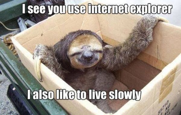 Slow Life - Funny pictures