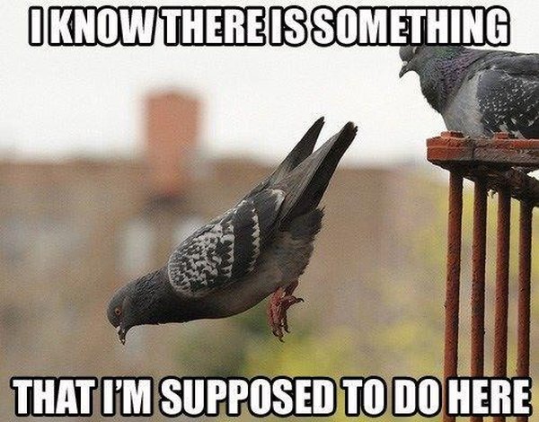 I Know There Is Something... - Funny pictures