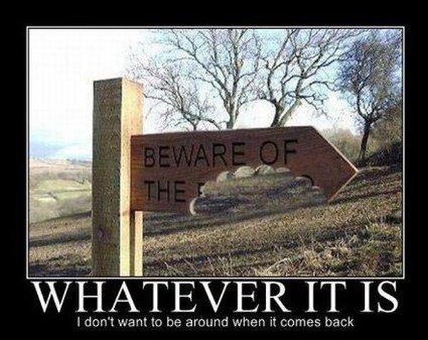 Beware of... - Funny pictures