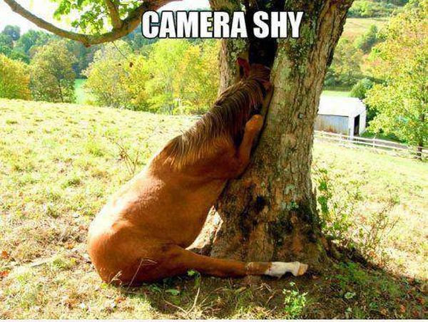 Camera Shy - Funny pictures