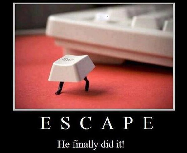 Escape - Funny pictures
