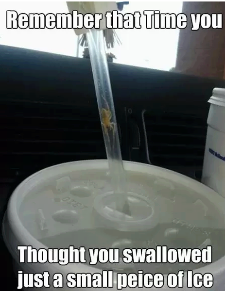 Remember That Time You Thought You Swallowed Just A Small Peace Of Ice - Funny pictures