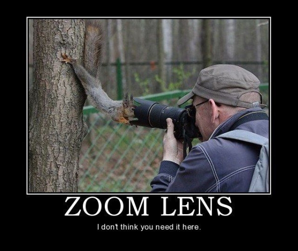 Zoom Lenses - Funny pictures