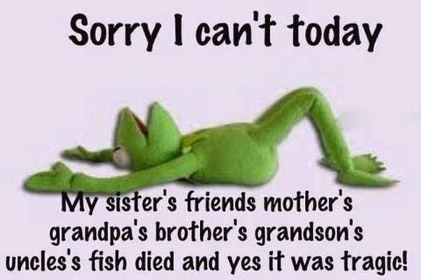 Sorry I Can't Today - Funny pictures
