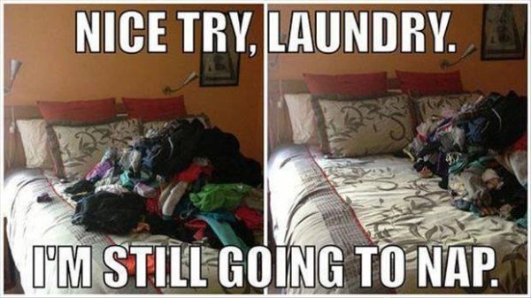 Nice Try Laundry - Funny pictures