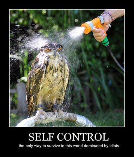 Self Control - Funny pictures