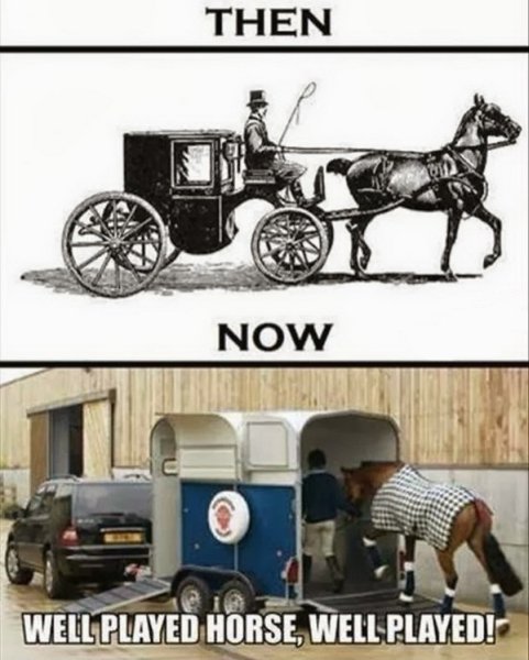 Well Played Horse - Funny pictures
