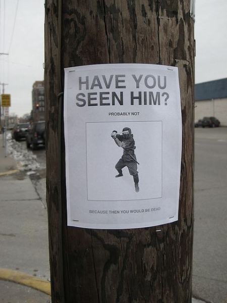 Have You Seen Him? - Funny pictures