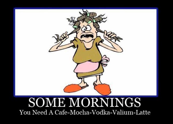 Some Mornings - Funny pictures