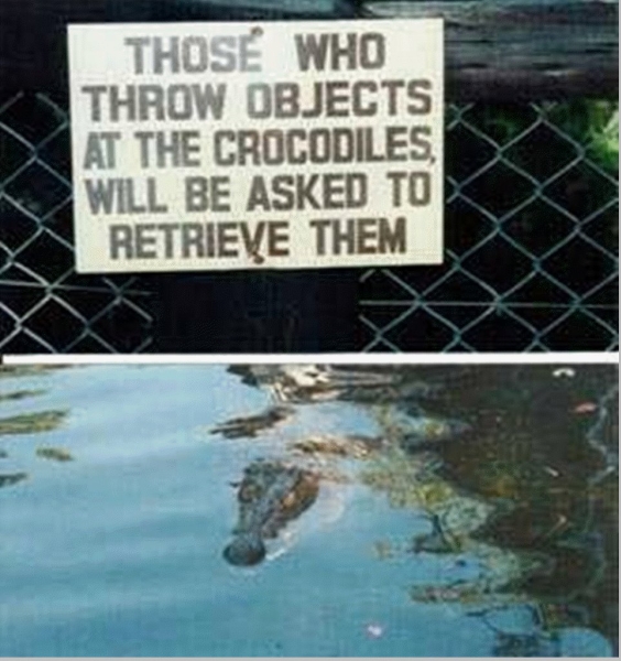 Don't Throw Object At The Crocodiles - Funny pictures