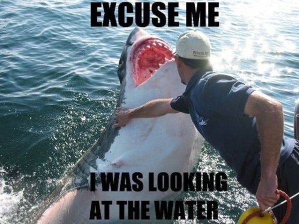 Excuse me! - Funny pictures