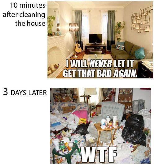 Cleaning The House - Funny pictures