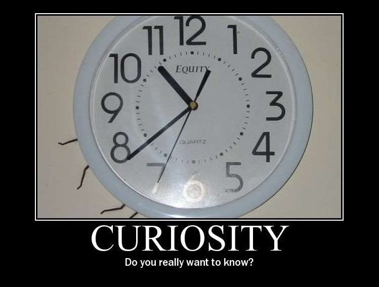 Curiosity - Funny pictures