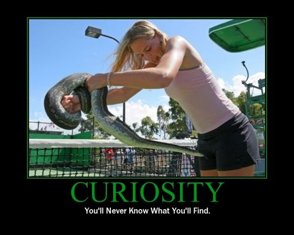Curiosity - Funny pictures