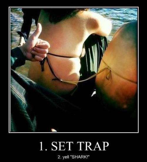 Epic Trap - Funny pictures