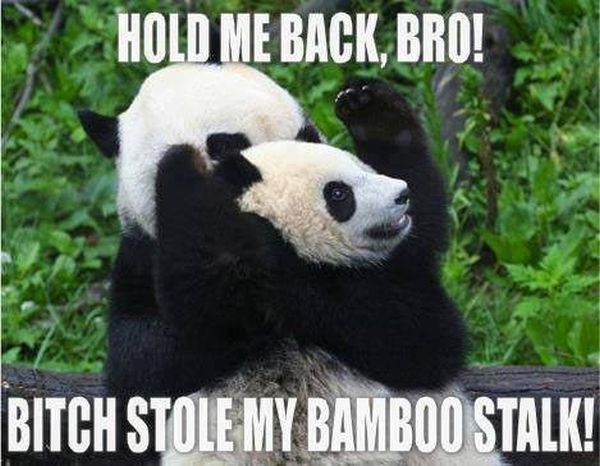 Hold Me Back Bro! - Funny pictures