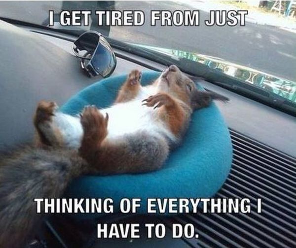 I Get Tired From Just Thinking - Funny pictures