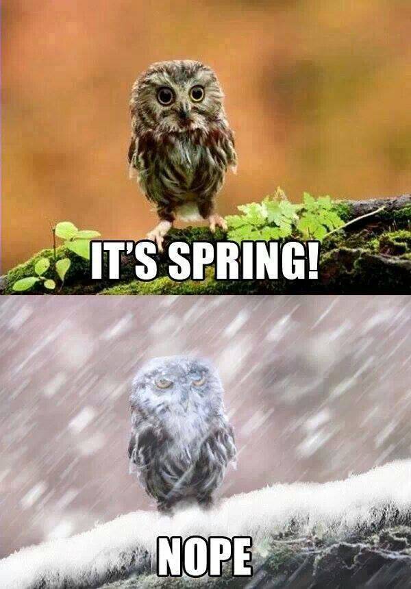 It's Spring - Funny pcitures
