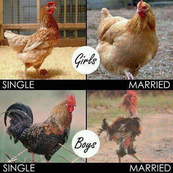 Girls Vs. Boys - Funny pictures