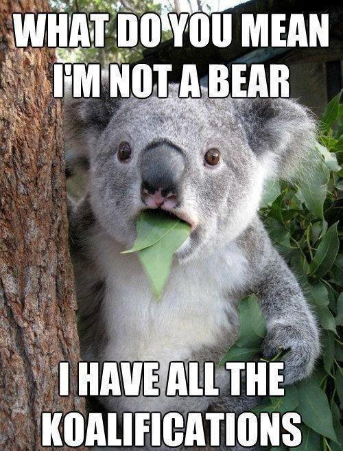 What Do You Mean I'm Not A Bear? - Funny pictures