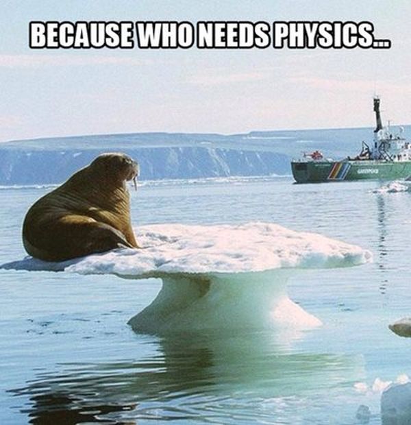 Because Who Needs Physics - Funny pictures