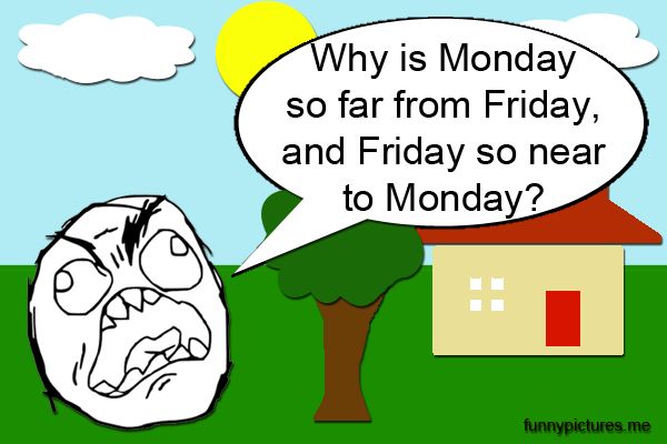 Monday... - Funny pictures