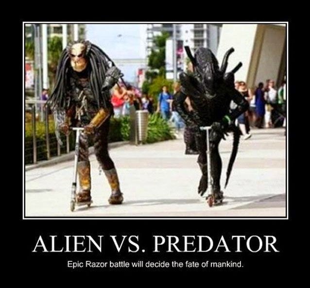 Alien Vs. Predator - Funny pictures