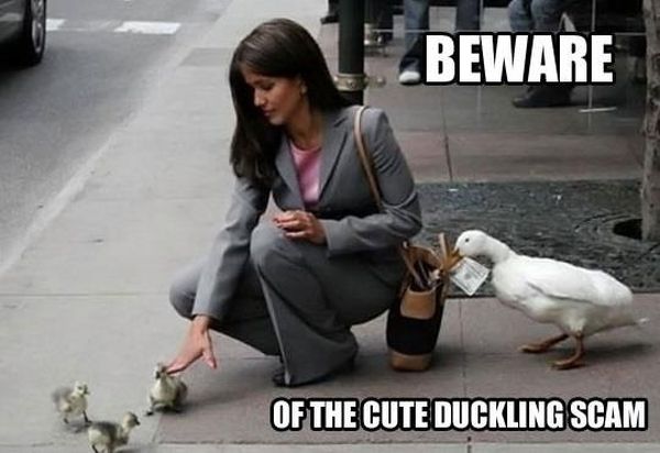 Beware - Funny pictures