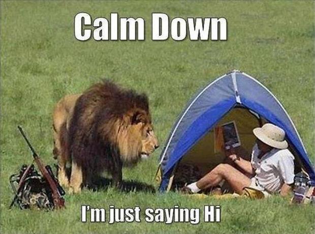 Calm Down - Funny pictures