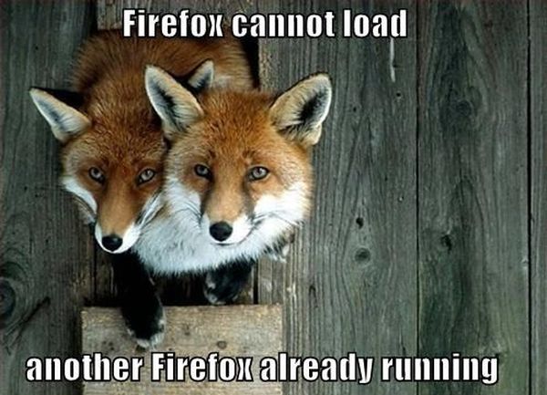 Firefox Cannot Load - Funny pictures