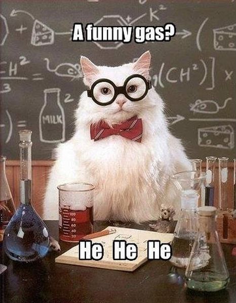 A Funny Gas? - Funny pictures