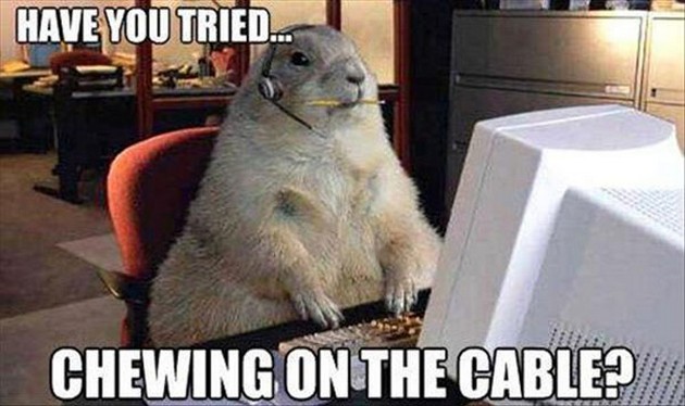 Gopher Tech Support - Funny pictures