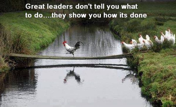 Great Leaders - Funny pictures